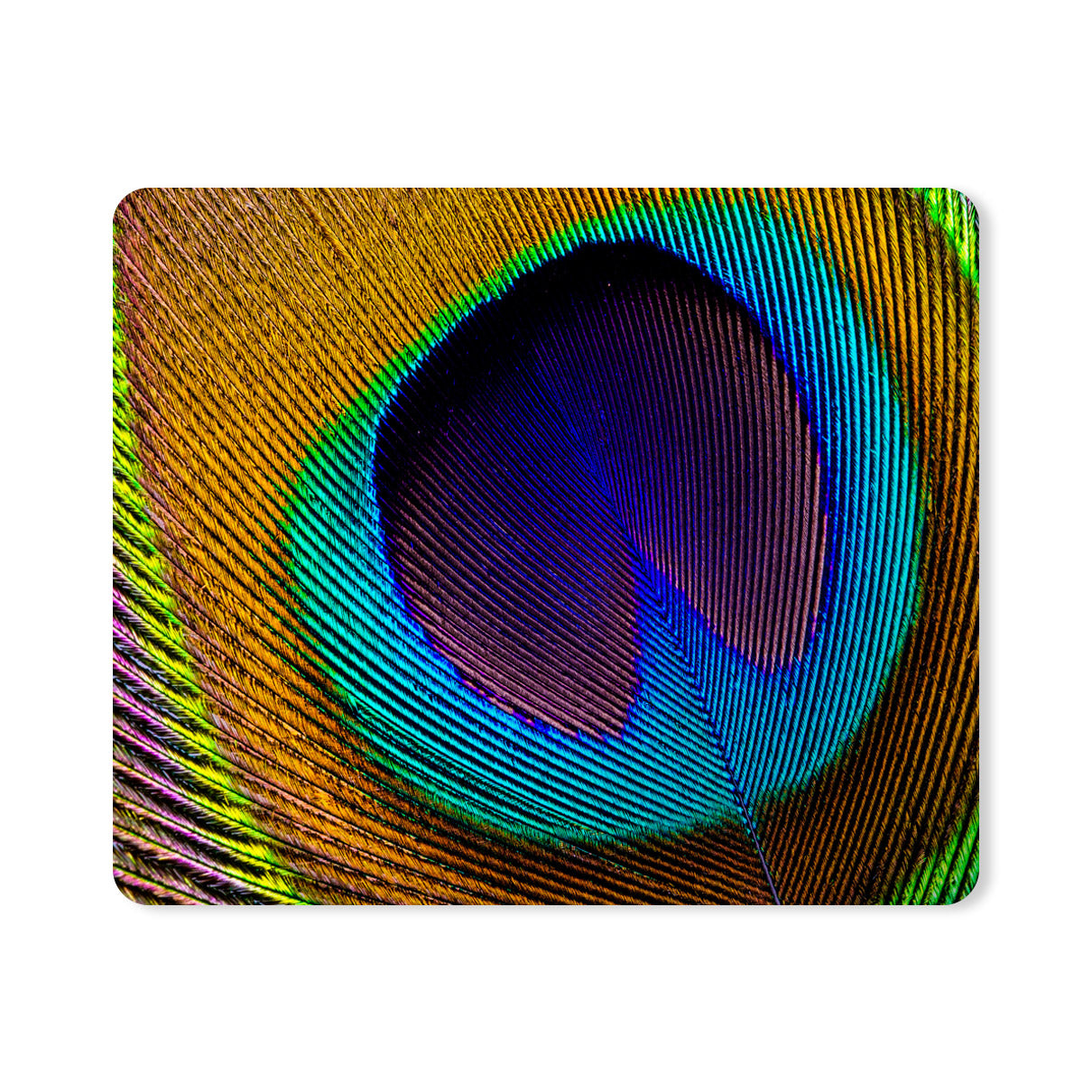 Peacock Feather Background Designer Printed Premium Mouse pad (9 in x 7.5 in)